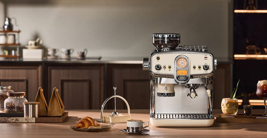 How to Choose the Right Coffee Beans for Your Daily Brew